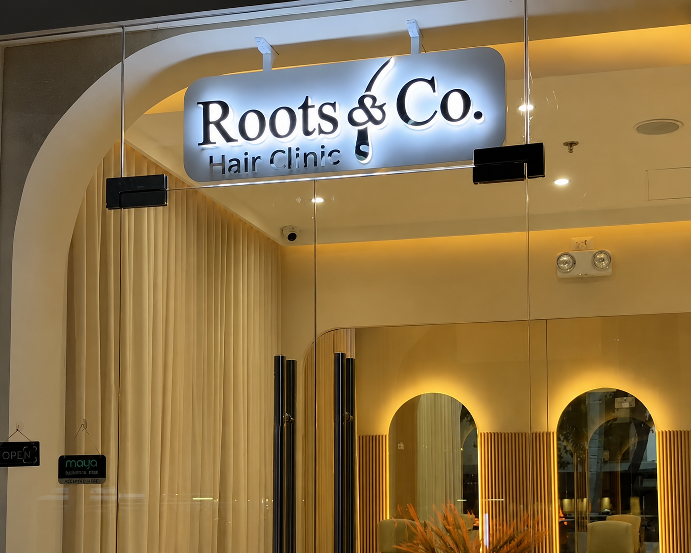 Roots & Co. Hair Clinic
